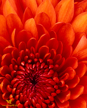 کتابهای موفقیت