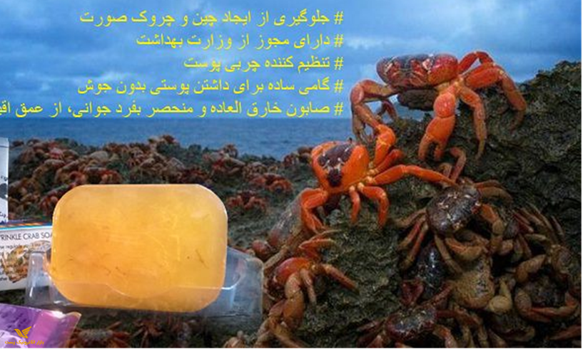 صابون خرچنگ