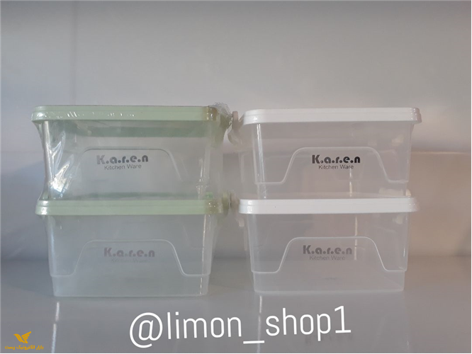 فریزری مربع قفلی کارن 246