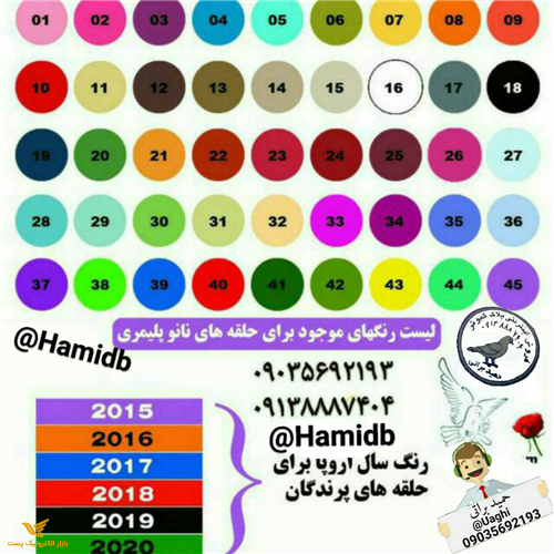 پلاک پای قناری 50 عددی ویژه