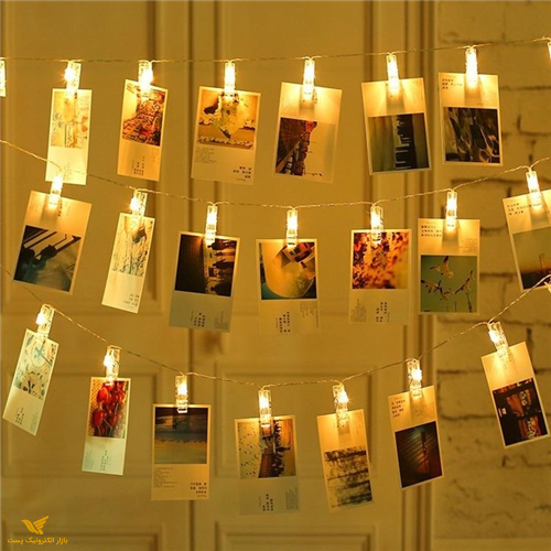 ریسه گیردار آفتابی 