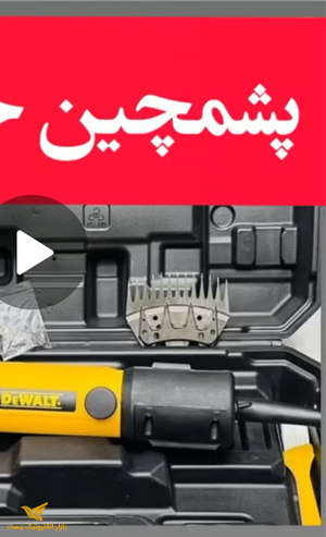 پشم زن دیوالت