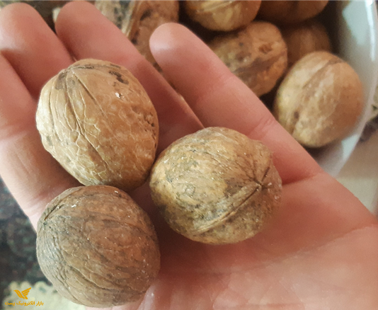 گردو پوست کاغذی 