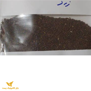 بذر انترا (مغربی) زرد