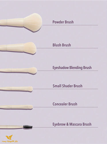 ست براش شیگلم